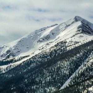 Body Wash